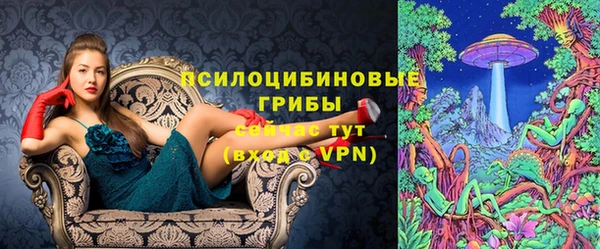 шишки Алзамай