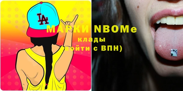 шишки Алзамай