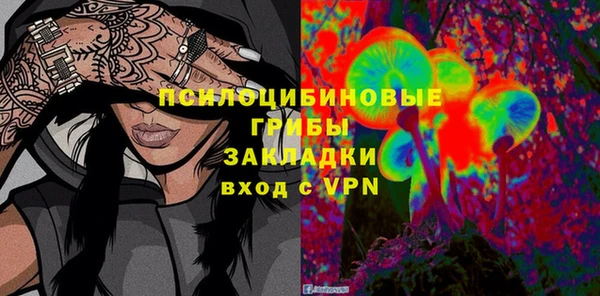 шишки Алзамай