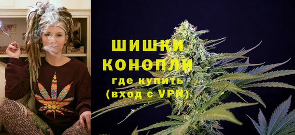 шишки Алзамай