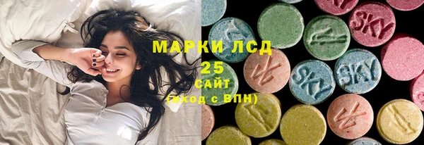 шишки Алзамай