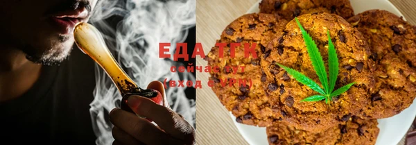шишки Алзамай