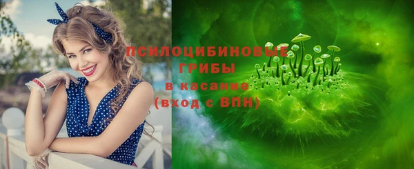 шишки Алзамай
