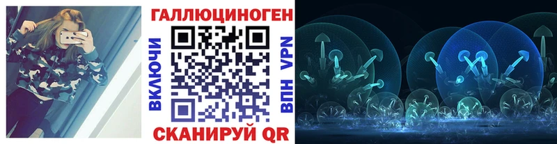 дарнет шоп  Грязовец  Псилоцибиновые грибы Psilocybe 